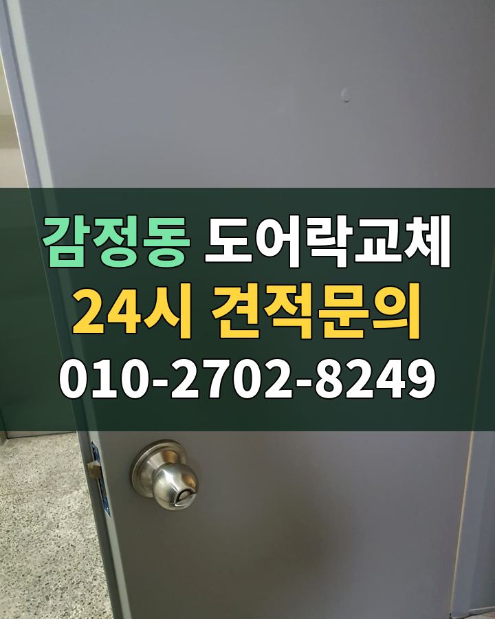 감정동 도어락교체 24시 견적문의 010-2702-8249 현장 확인