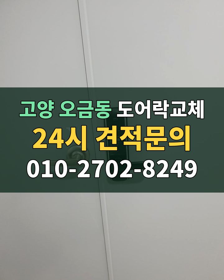 오금동 도어락교체 24시 견적문의 010-2702-8249 비용 상담