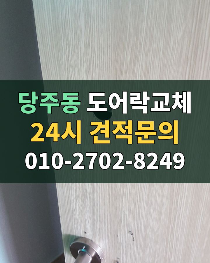 당주동 도어락교체 24시 견적문의 010-2702-8249 현장 확인