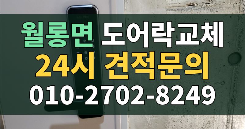 월롱면 도어락교체 24시 견적문의 010-2702-8249