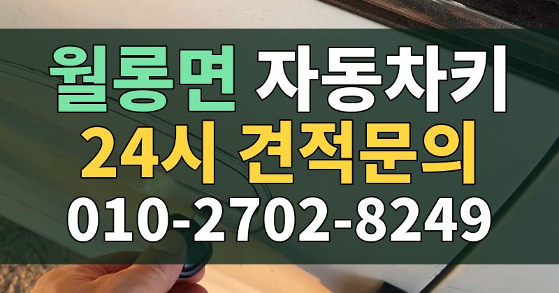 월롱면 자동차키 24시 견적문의 010-2702-8249