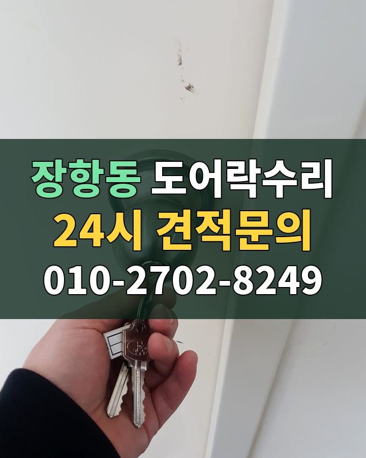장항동 도어락수리 24시 견적문의 010-2702-8249 현장 확인
