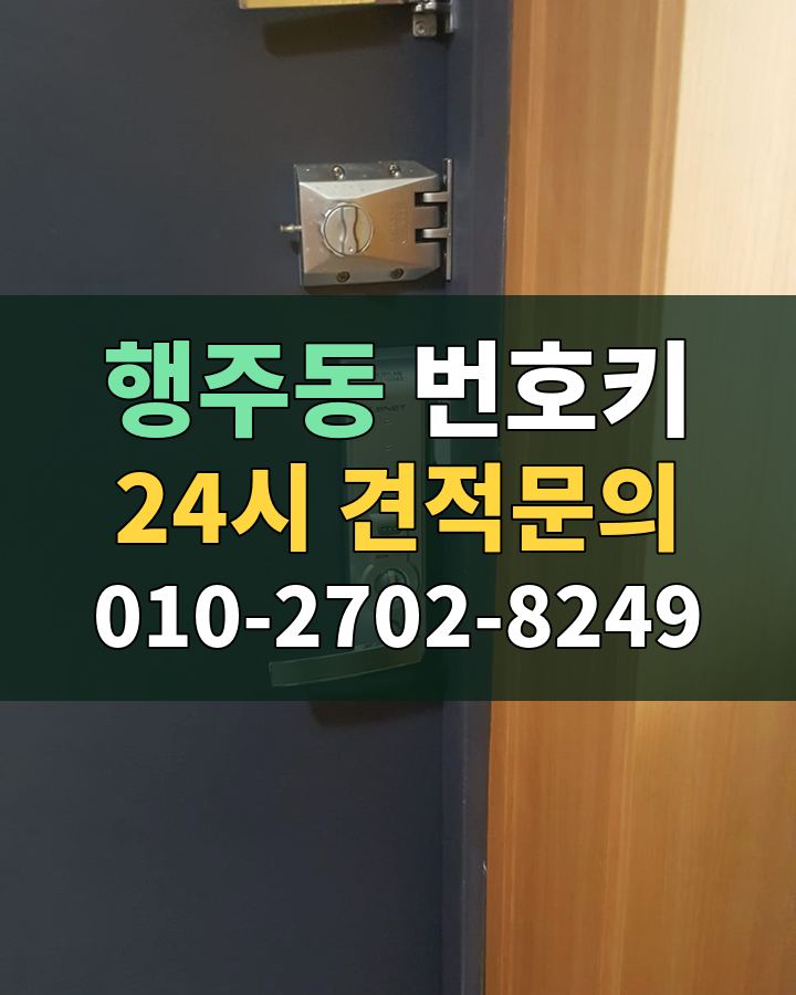 행주동 번호키 24시 견적문의 010-2702-8249 현장 확인